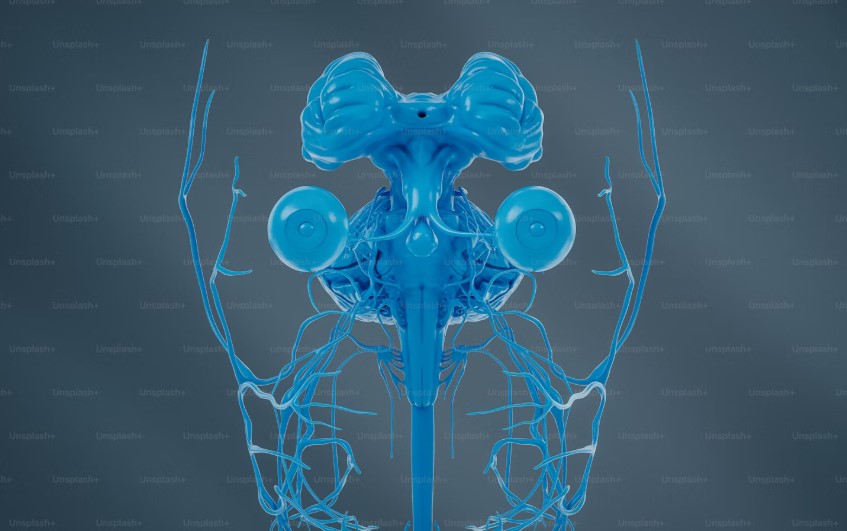 Best Hospital In Delhi For Cervical Spondylosis.jpg